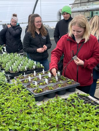 Mein kleiner feiner Garten 2022