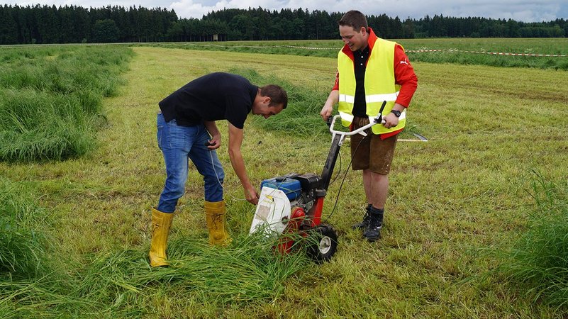 Bezirksmähen in Mining